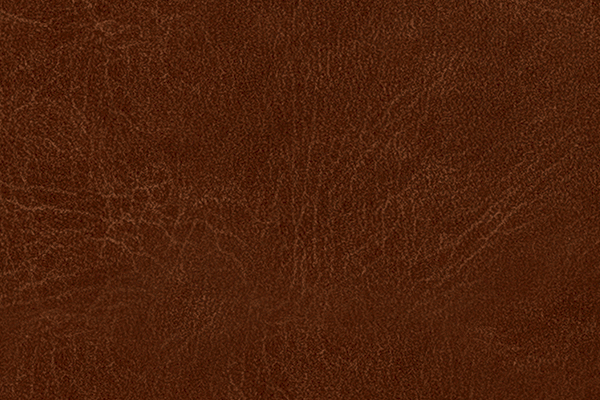 Kensington Cinnamon Kensington Cinnamon