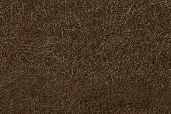 Kensington Mink Kensington Mink