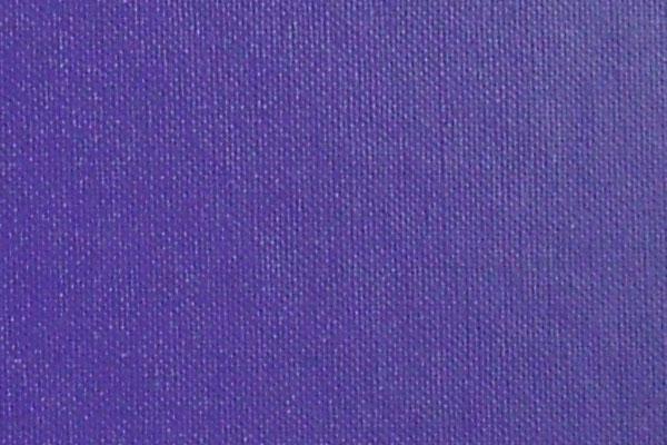 Buckley Purple Buckley Purple