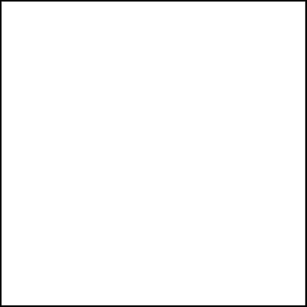White White