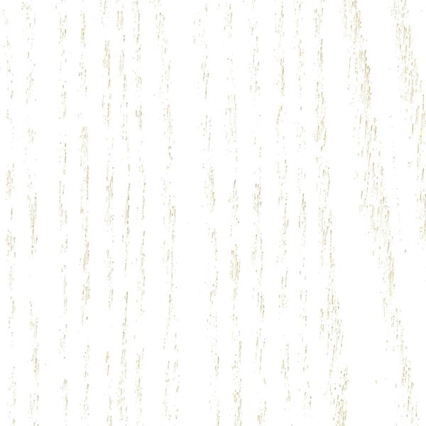 Woodpecker White Woodpecker White